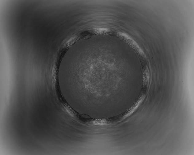 X0000087670762200705111157