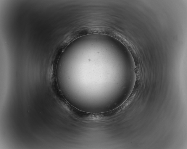 X0000087670764200705111157