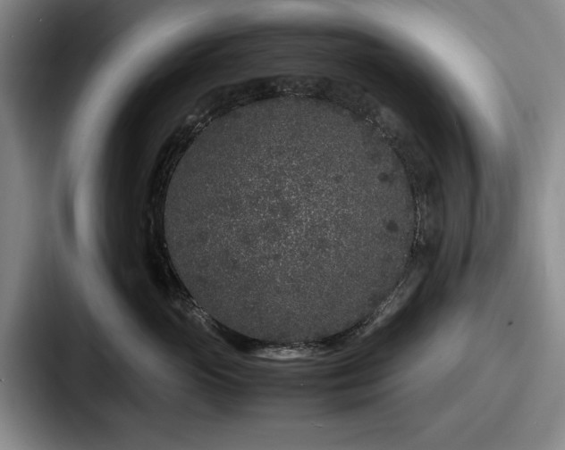 X0000087670765200705111157