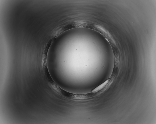 X0000087670766200705111157