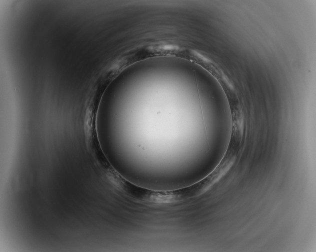 X0000087670767200705111157