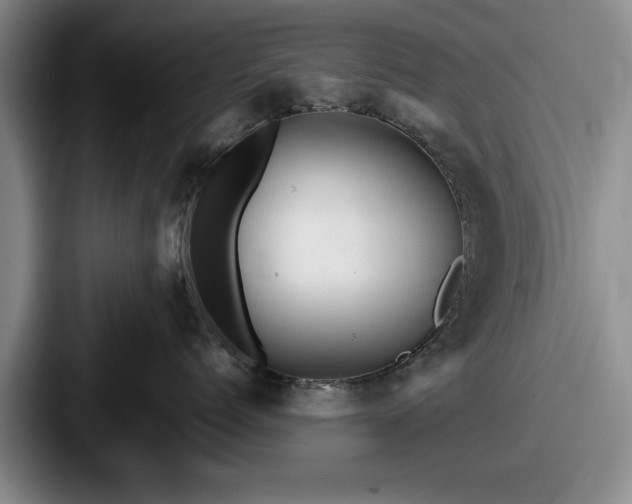 X0000087670768200705111157