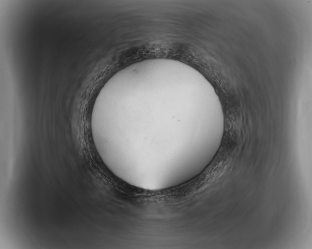 X0000087670769200705111157