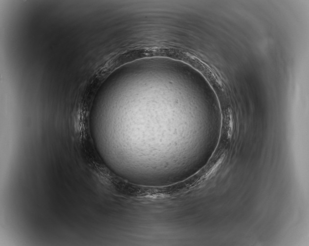 X0000087670770200705111157