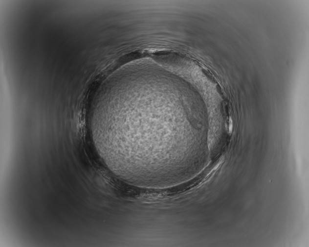 X0000087670771200705111157