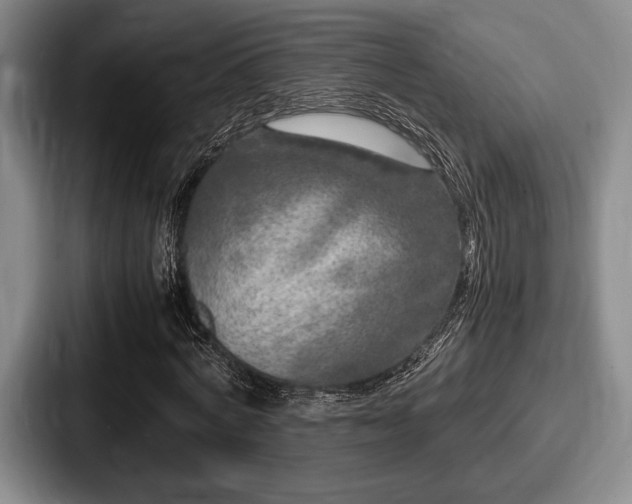 X0000087670772200705111157