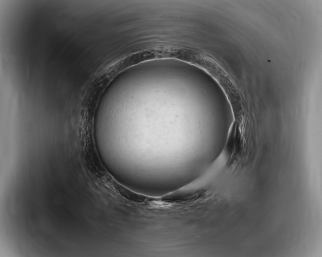 X0000087670773200705111157