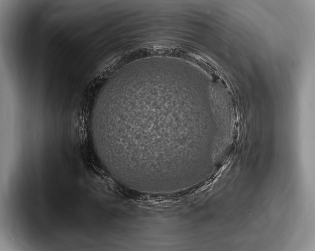 X0000087670774200705111157