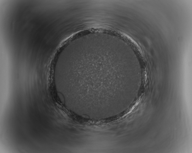 X0000087670775200705111157