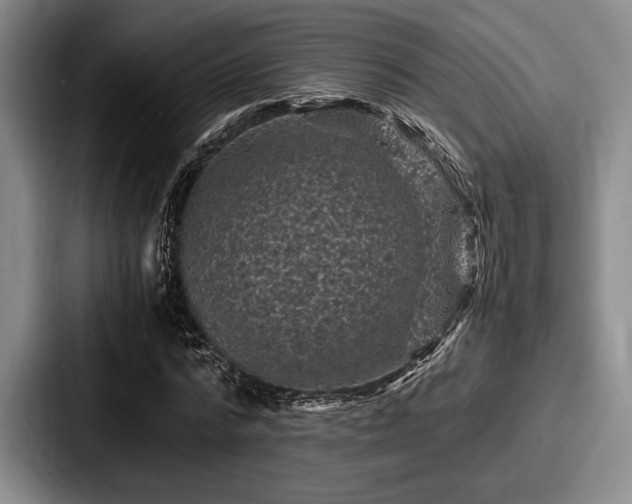 X0000087670776200705111157