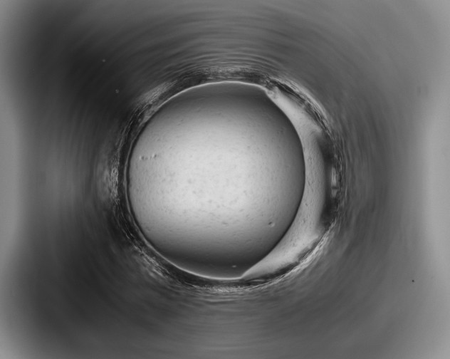 X0000087670777200705111157