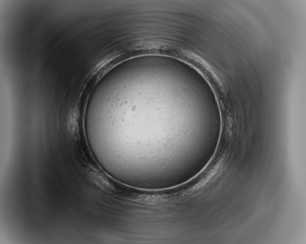 X0000087670778200705111157