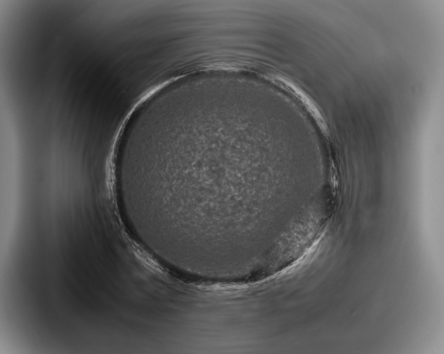 X0000087670779200705111157