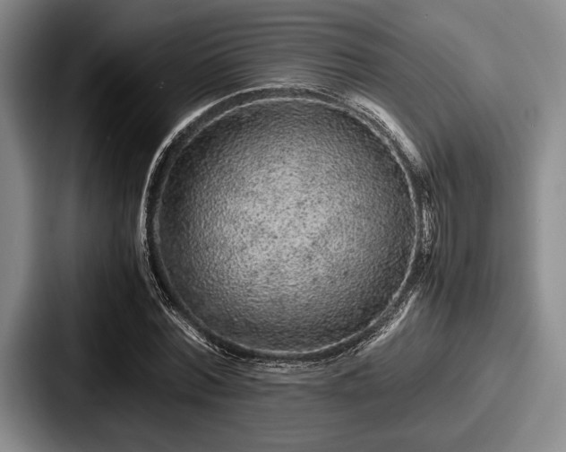 X0000087670780200705111157