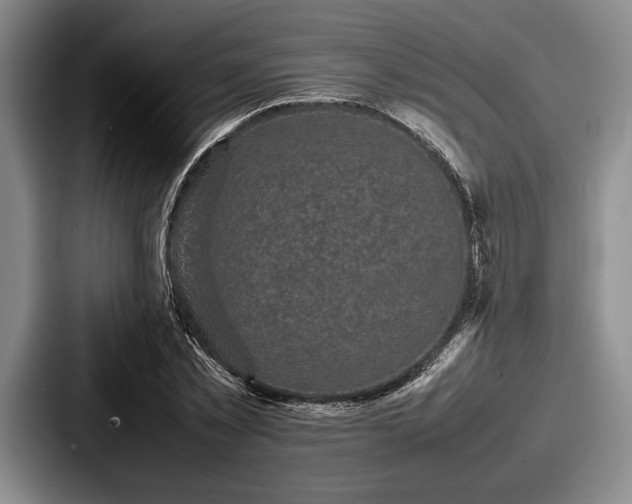 X0000087670781200705111157