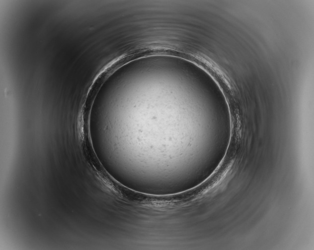 X0000087670782200705111156