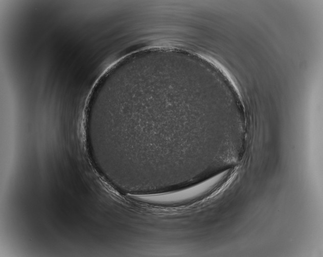 X0000087670783200705111156