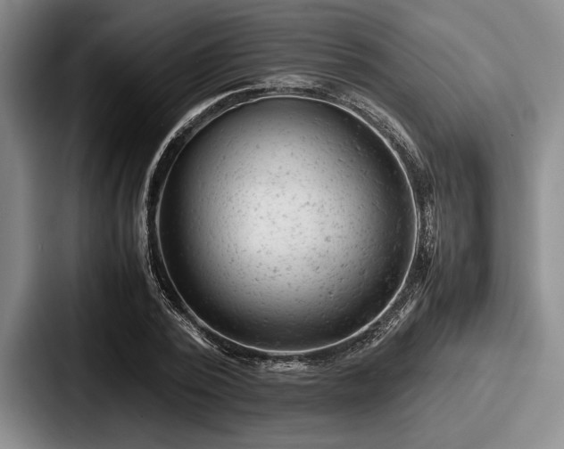 X0000087670784200705111156