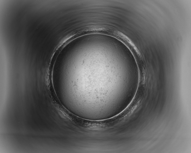 X0000087670786200705111156