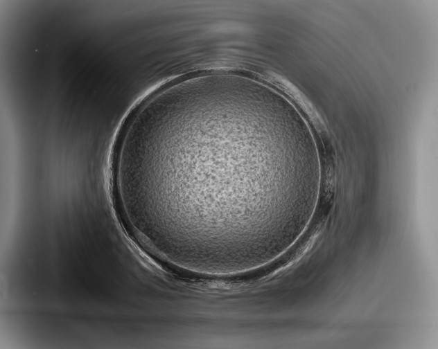 X0000087670787200705111156