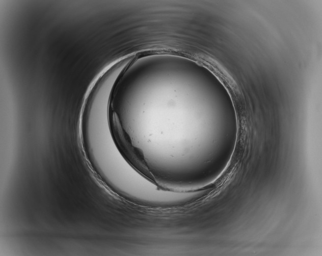 X0000087670788200705111156