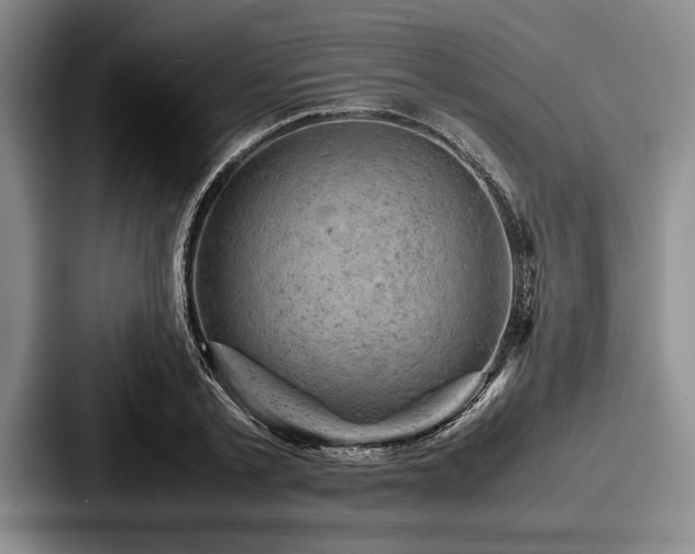 X0000087670789200705111156