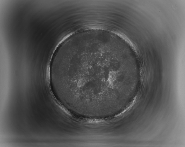 X0000087670790200705111156