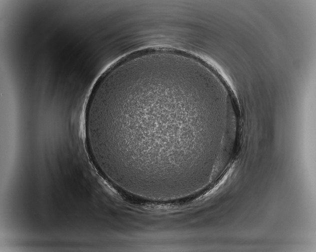 X0000087670791200705111156