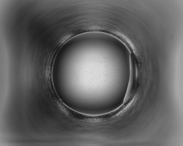 X0000087670793200705111156