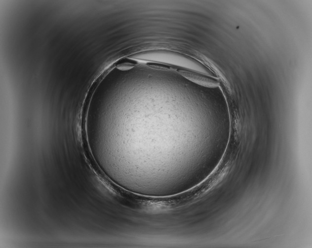 X0000087670794200705111156