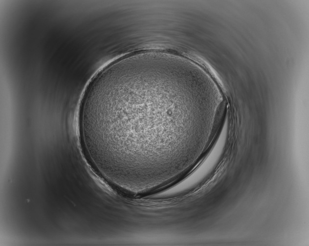 X0000087670795200705111156