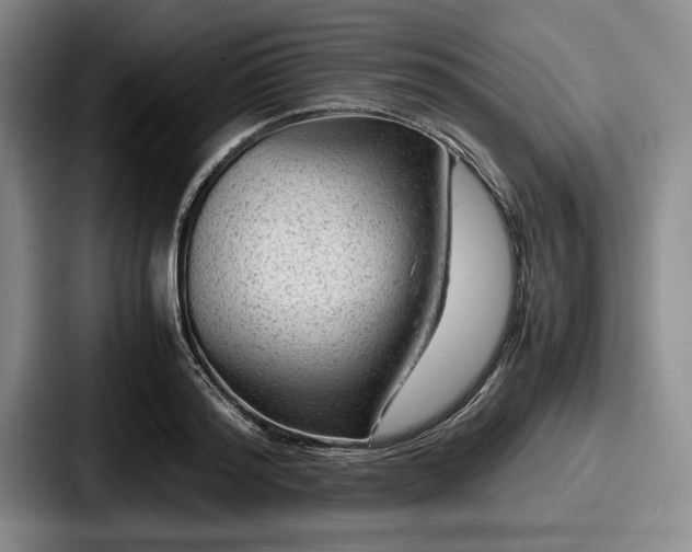 X0000087670796200705111156