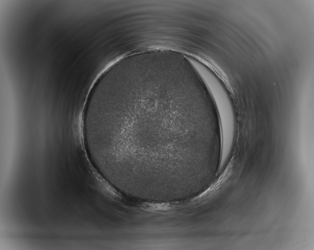 X0000087670798200705111156