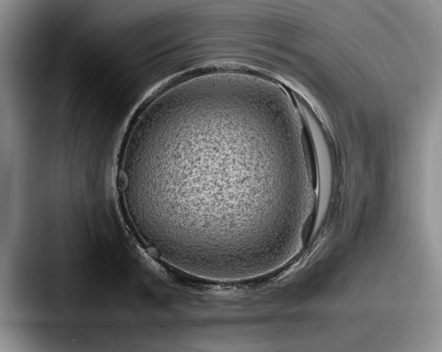 X0000087670799200705111156