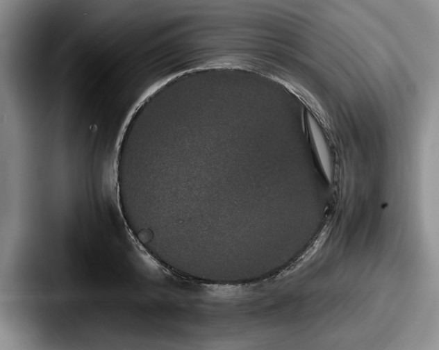 X0000087670800200705111156