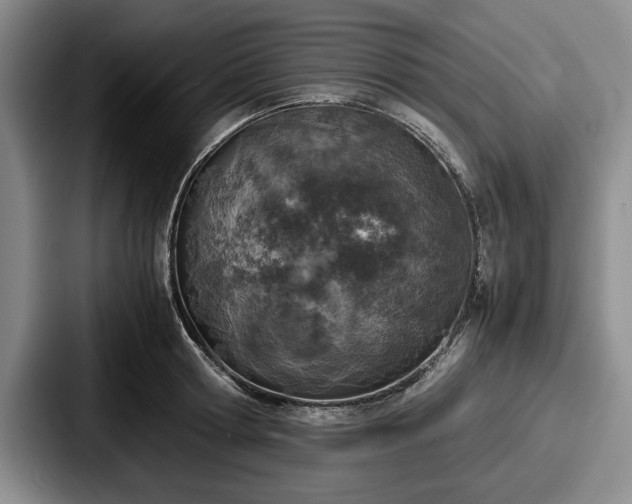 X0000087670802200705111156