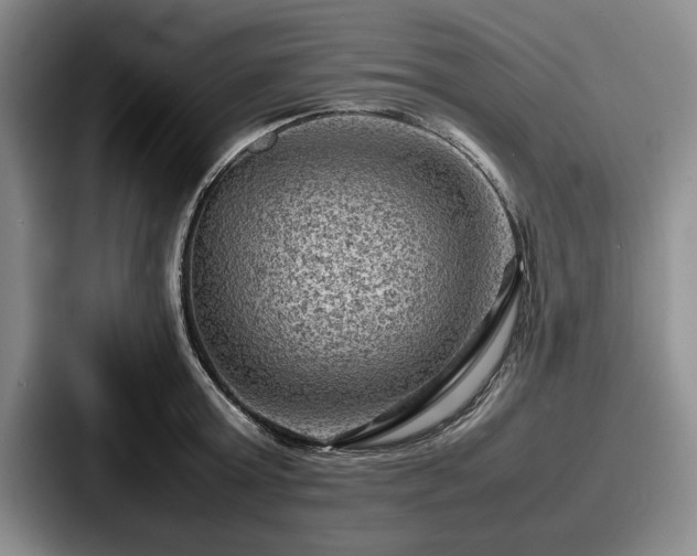 X0000087670803200705111156