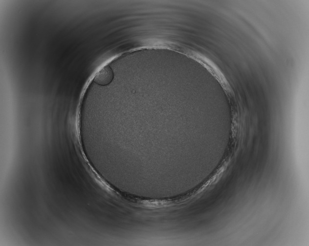 X0000087670804200705111156