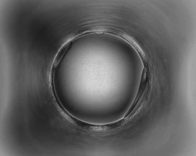 X0000087670805200705111156