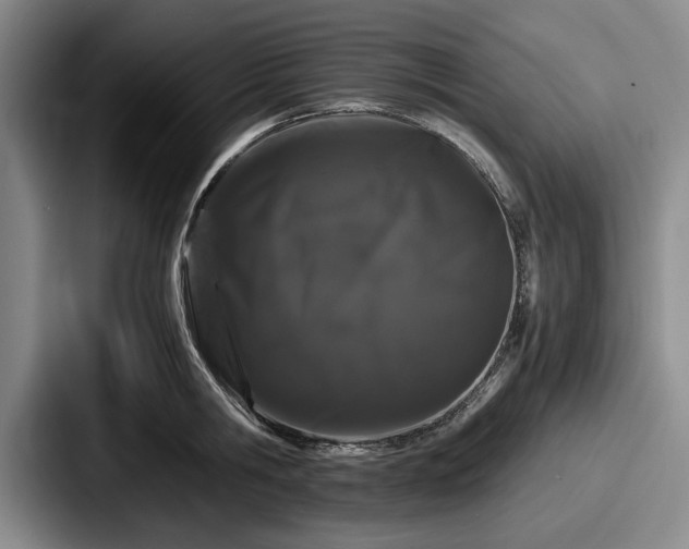 X0000087670806200705111156