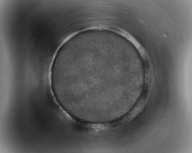 X0000087670807200705111156