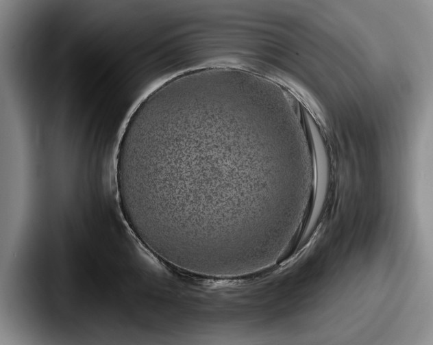 X0000087670808200705111156