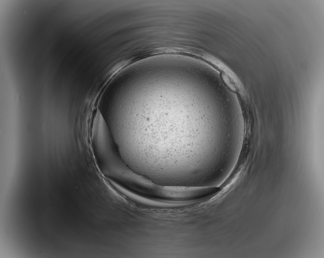 X0000087670809200705111156