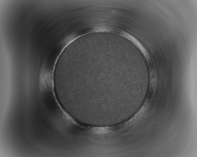 X0000087670810200705111156