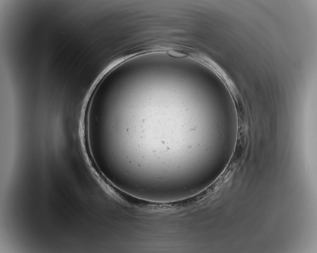 X0000087670811200705111156