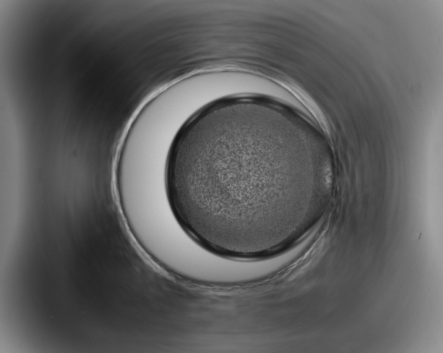 X0000087670813200705111156