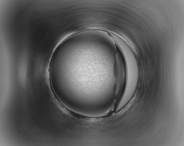 X0000087670814200705111156