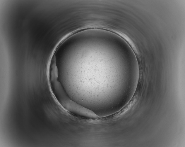 X0000087670815200705111156