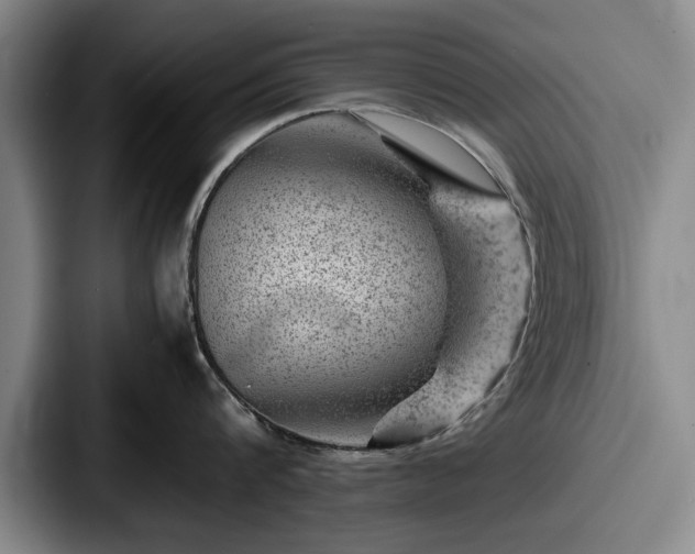 X0000087670816200705111156