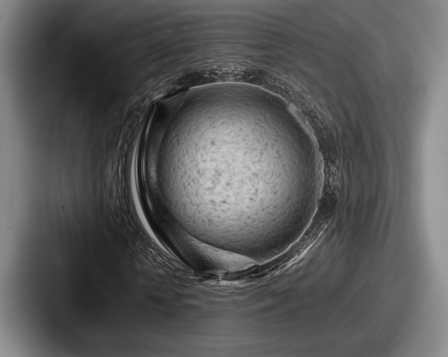 X0000087670818200705111155